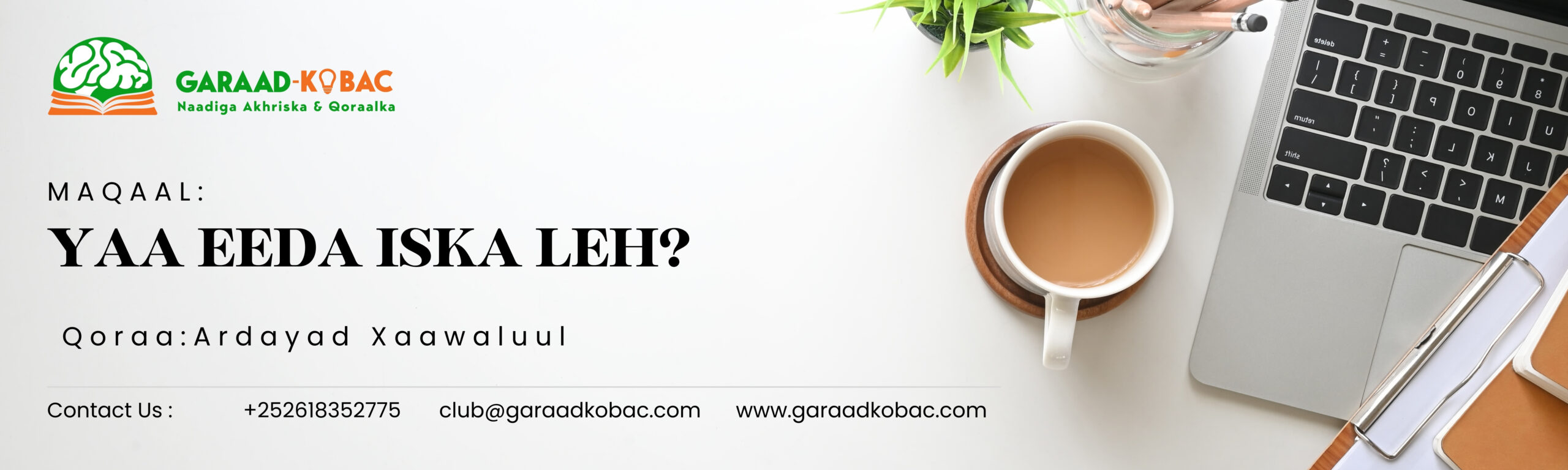 White Minimalist Blog Post Linkedin Article Cover